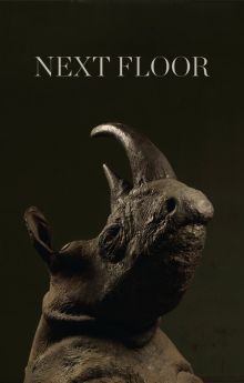 Next Floor Next Floor