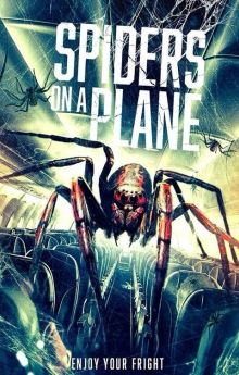 Spiders on a Plane Spiders on a Plane
